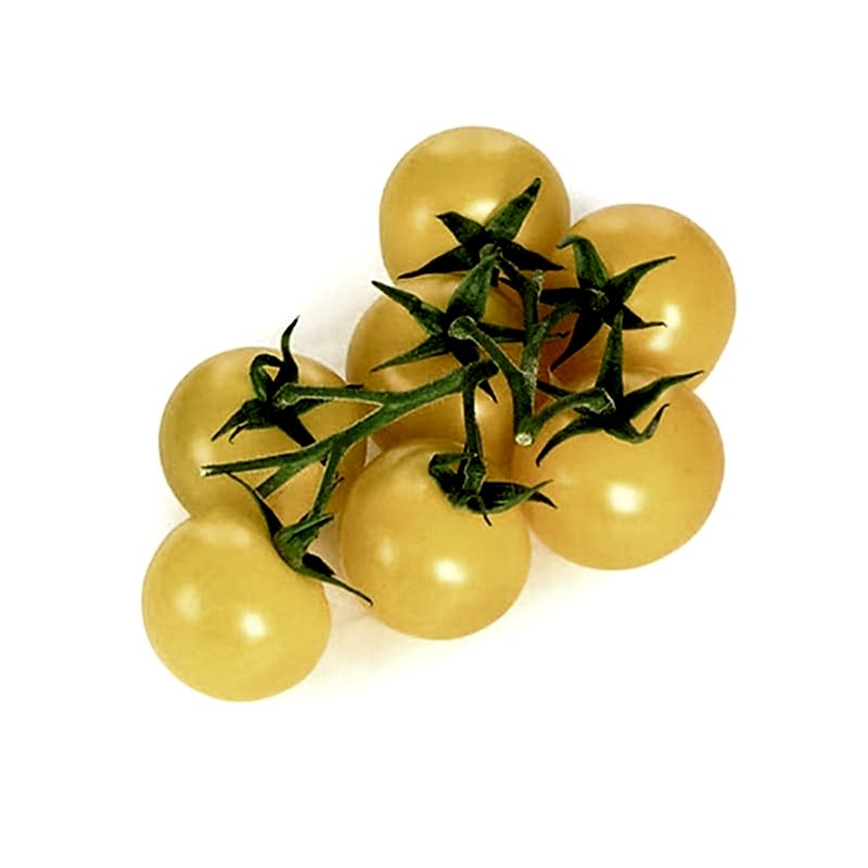 Domates  cherry sarı