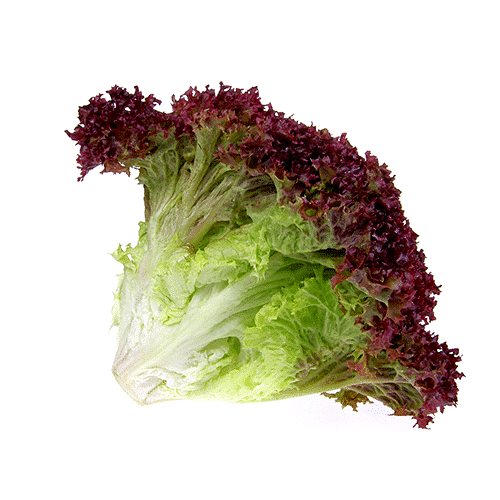 Lolorosso kırmızı