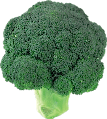 Brokoli
