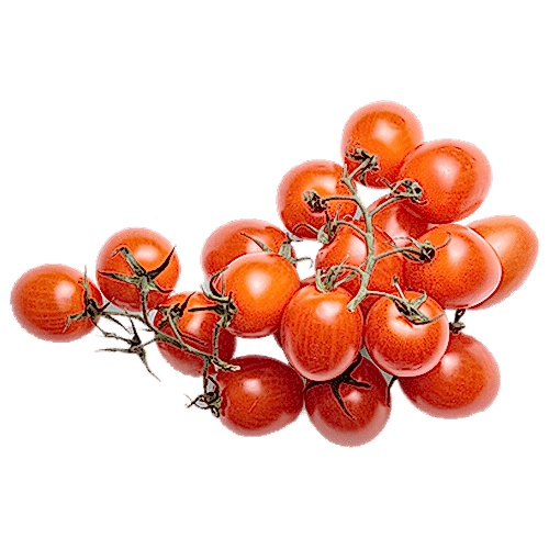 Domates  cherry